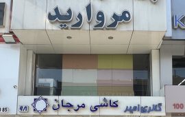 IMG_1388 - amirreza taraneh (1)