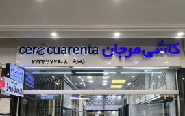 IMG_1578 - amirreza taraneh